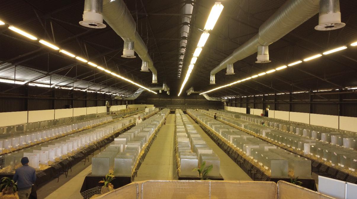 WhatsApp Image 2025-07-01 at 10.33.23_f99adbe3